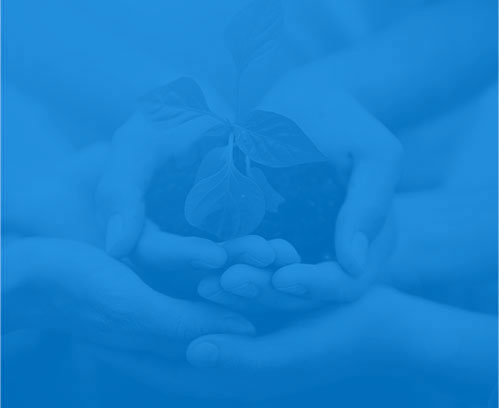 免费企业网站模板公司