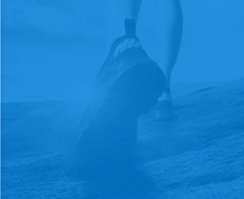 免费企业网站模板公司