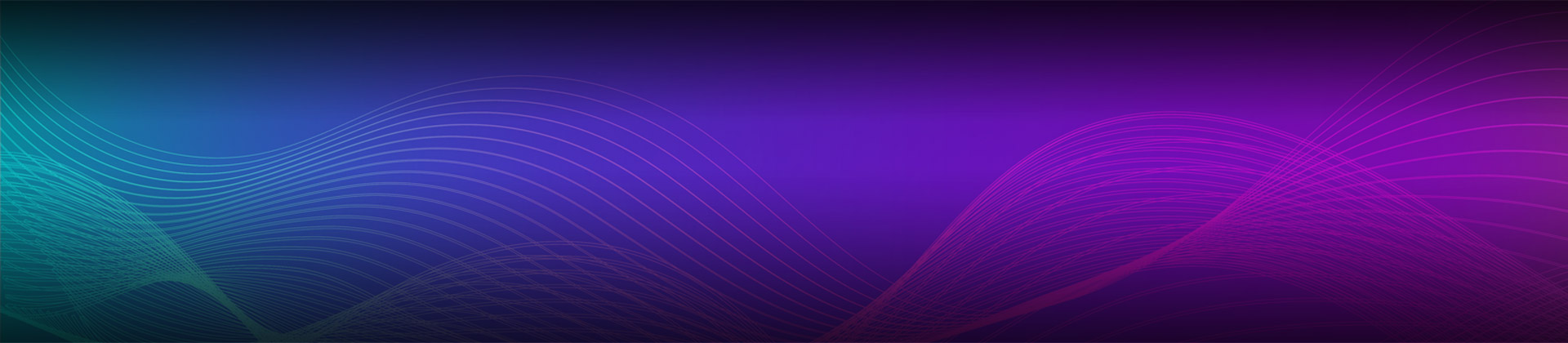 电子商务网站建设的要点（电子商务网站建设的要点有哪些）