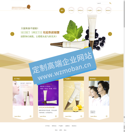 美容化妆品公司自适应带手机数据同步网站模版