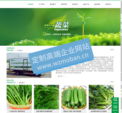 绿色果蔬产品配送服务网站模板