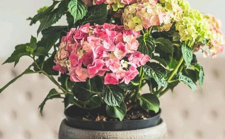 网站如何备案看这里(网站备案指南) 网站如何备案看这里(网站备案指南)