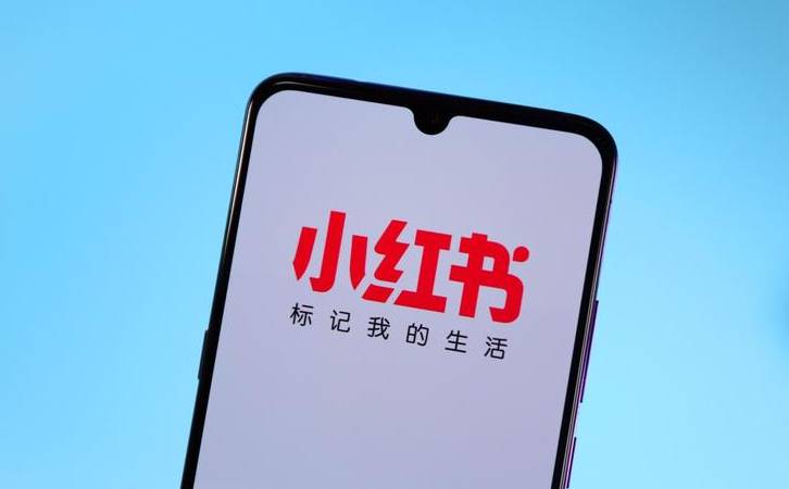 谷歌算法更新2023（谷歌优化对网站的要求）