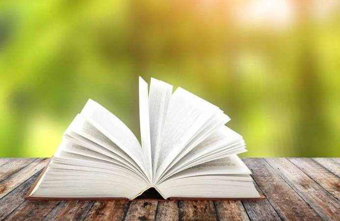 影响seo排名的主要因素有哪些（SEO优化影响页面排名的因素有哪些）