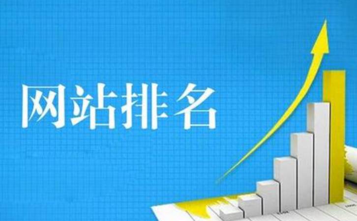 完全不懂seo可以学吗（新手SEOer需要知道和了解最基础的概念）